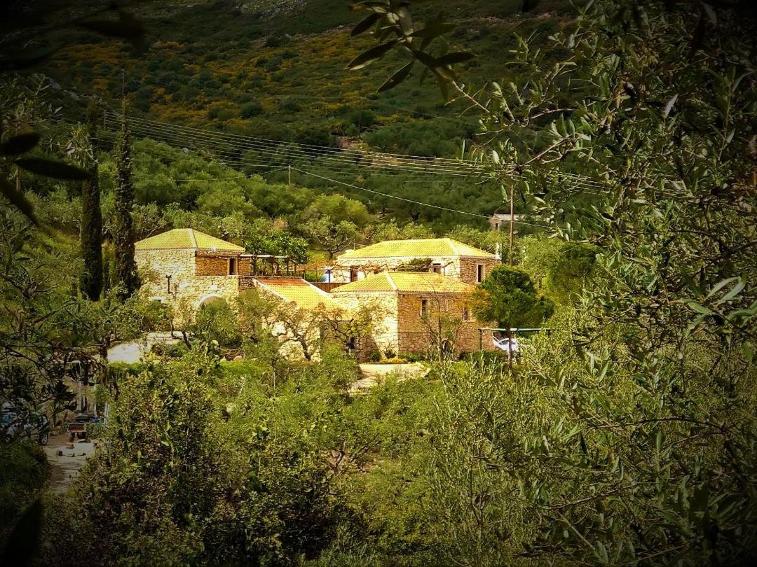 Tsivouli Accommodation Lithakia  Dış mekan fotoğraf