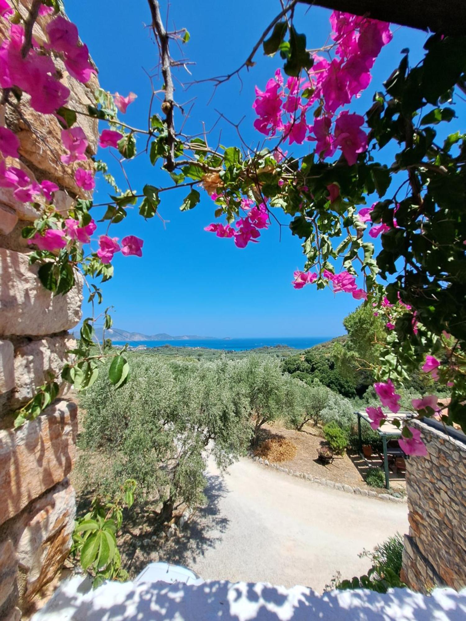 Tsivouli Accommodation Lithakia  Dış mekan fotoğraf